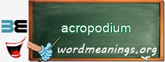 WordMeaning blackboard for acropodium
